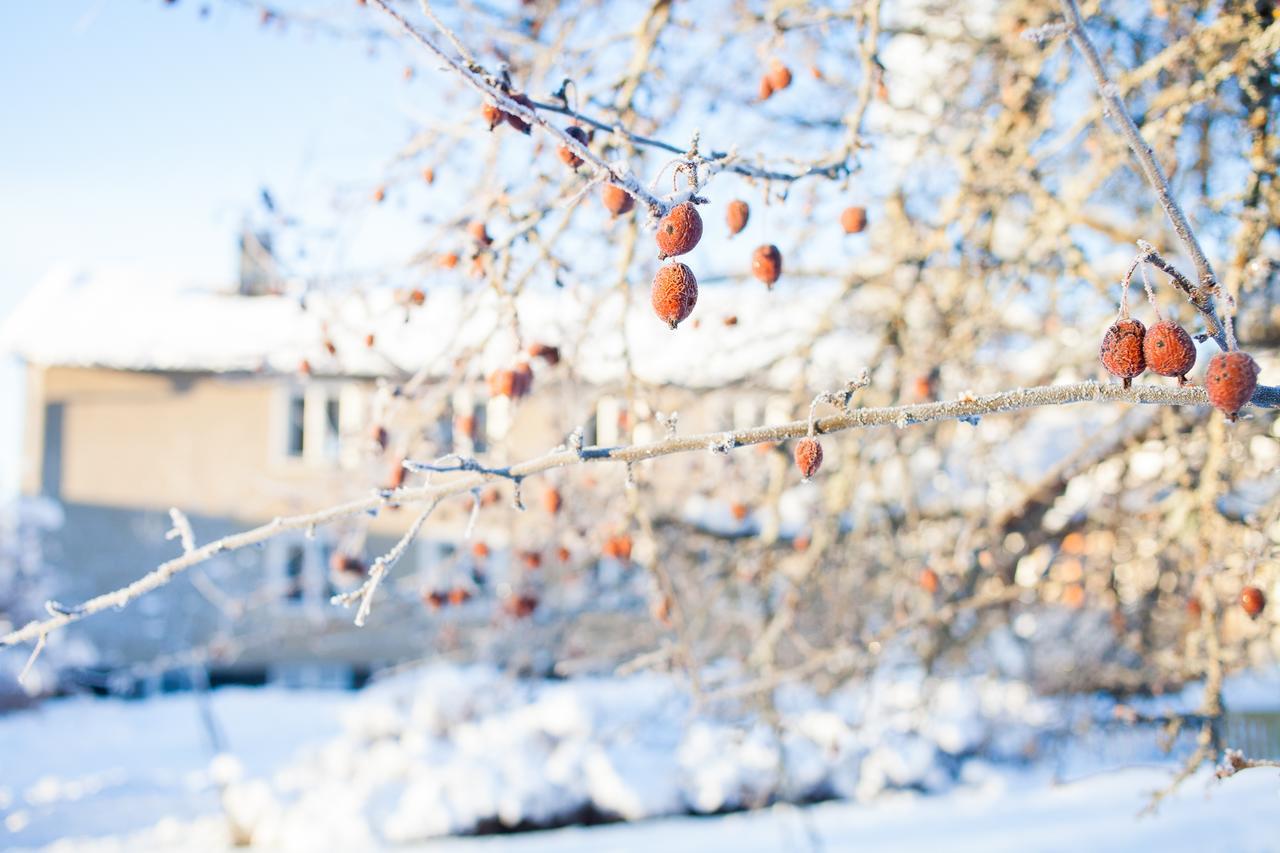 Helsingegarden Pansiyon Järvsö Dış mekan fotoğraf