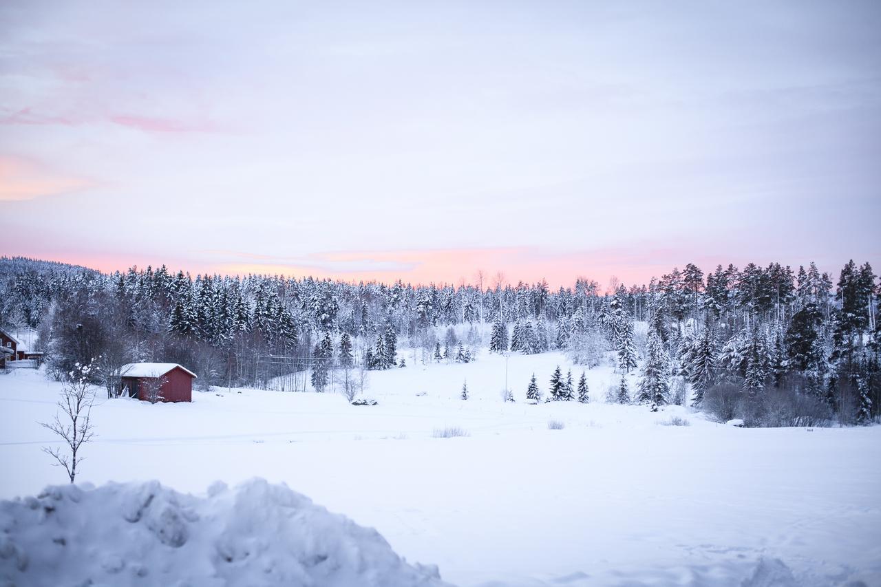 Helsingegarden Pansiyon Järvsö Dış mekan fotoğraf